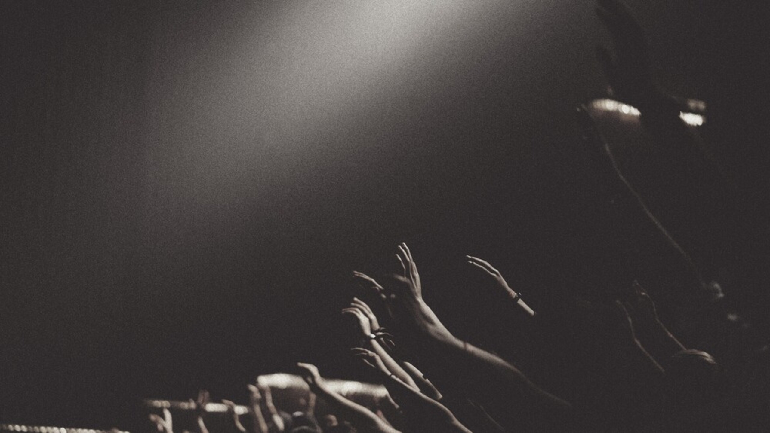 Welcome we are npmusic